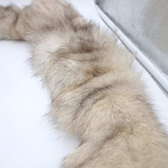 Vintage Wolf or Coyote Fur Stole - Picture 8 of 10